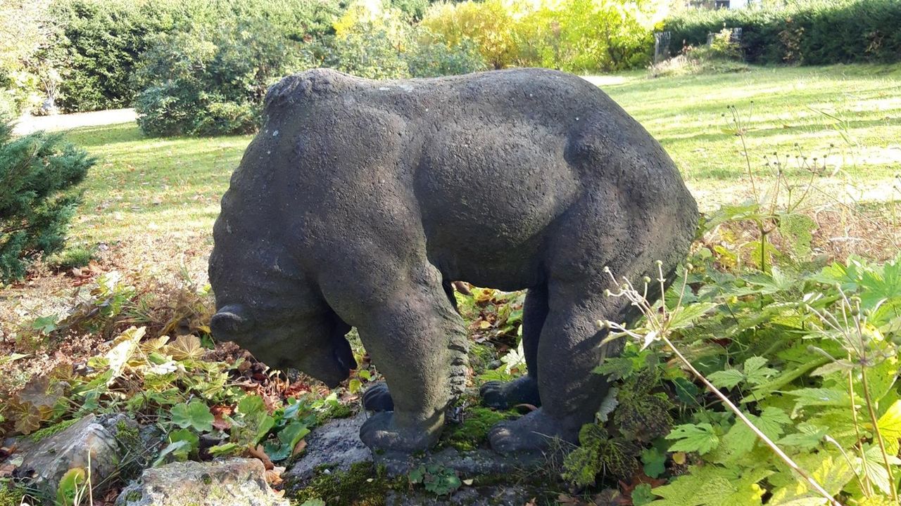 20201025_105449_resized 20201025_105449_resized